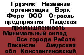 Грузчик › Название организации ­ Ворк Форс, ООО › Отрасль предприятия ­ Пищевая промышленность › Минимальный оклад ­ 25 000 - Все города Работа » Вакансии   . Амурская обл.,Константиновский р-н